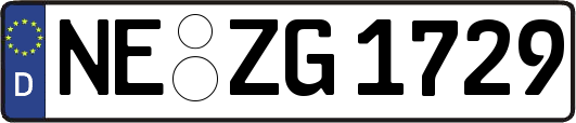 NE-ZG1729