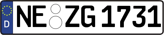NE-ZG1731