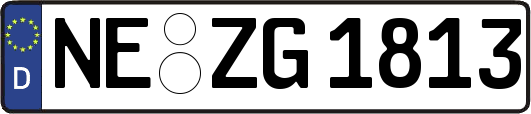 NE-ZG1813