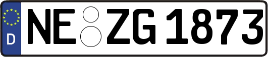 NE-ZG1873