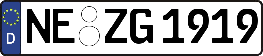 NE-ZG1919