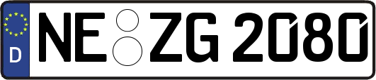 NE-ZG2080