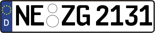 NE-ZG2131