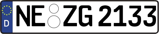 NE-ZG2133