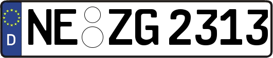 NE-ZG2313
