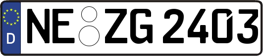 NE-ZG2403
