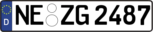 NE-ZG2487
