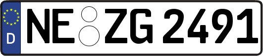 NE-ZG2491