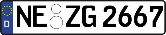 NE-ZG2667