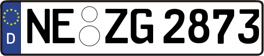 NE-ZG2873