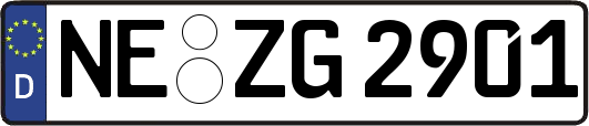 NE-ZG2901