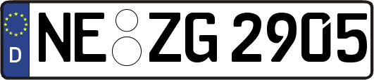 NE-ZG2905
