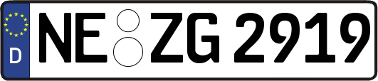 NE-ZG2919
