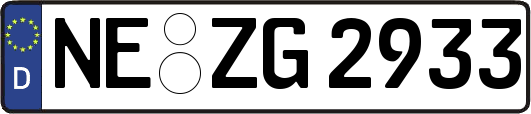 NE-ZG2933