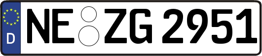 NE-ZG2951