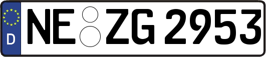 NE-ZG2953