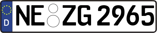 NE-ZG2965