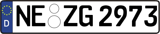 NE-ZG2973