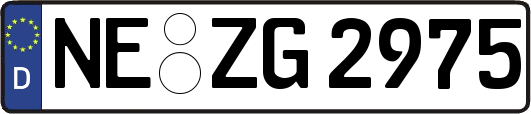 NE-ZG2975