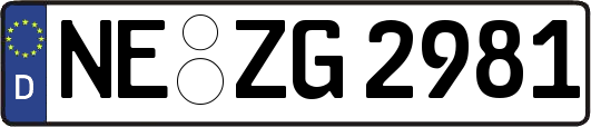 NE-ZG2981