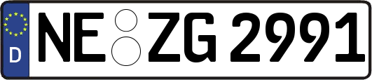 NE-ZG2991