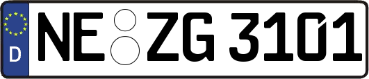 NE-ZG3101