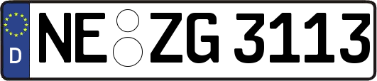 NE-ZG3113