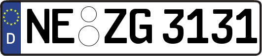 NE-ZG3131