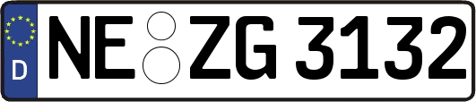 NE-ZG3132