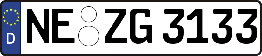 NE-ZG3133