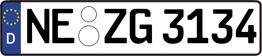 NE-ZG3134