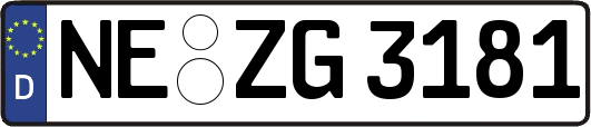 NE-ZG3181