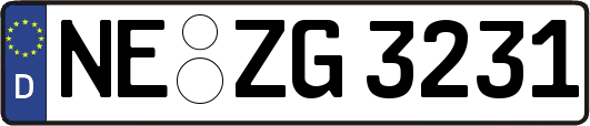 NE-ZG3231
