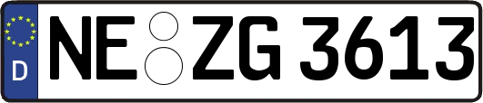 NE-ZG3613