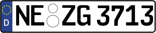 NE-ZG3713