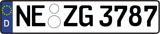 NE-ZG3787
