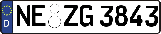 NE-ZG3843