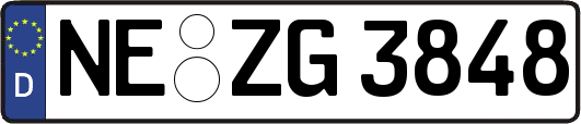 NE-ZG3848