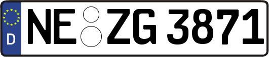 NE-ZG3871