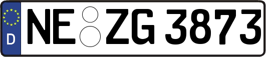 NE-ZG3873