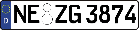 NE-ZG3874