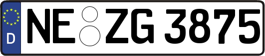 NE-ZG3875