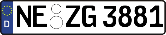 NE-ZG3881