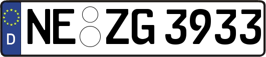 NE-ZG3933