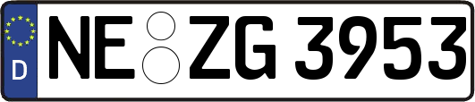 NE-ZG3953