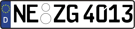 NE-ZG4013