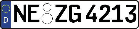 NE-ZG4213