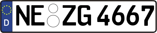 NE-ZG4667