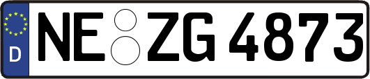 NE-ZG4873