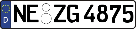 NE-ZG4875